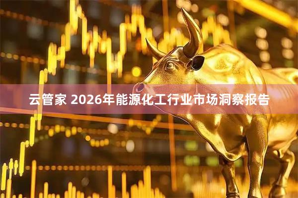 云管家 2026年能源化工行业市场洞察报告