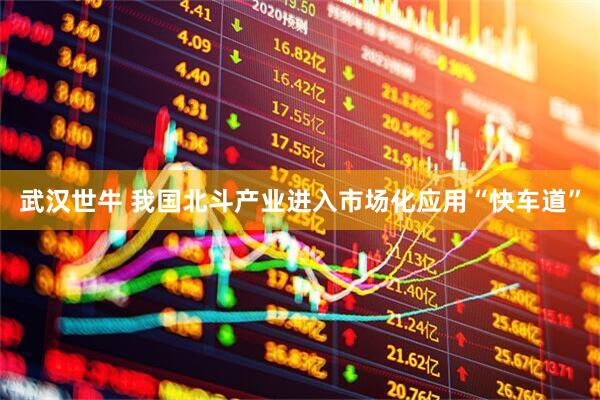 武汉世牛 我国北斗产业进入市场化应用“快车道”