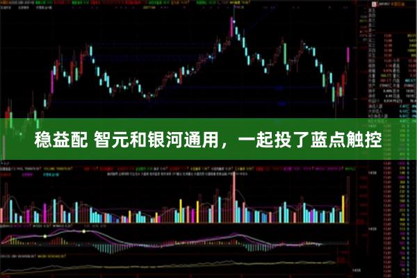 稳益配 智元和银河通用，一起投了蓝点触控