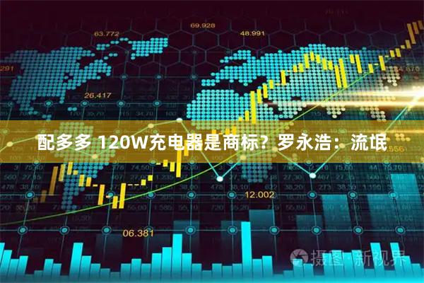 配多多 120W充电器是商标？罗永浩：流氓