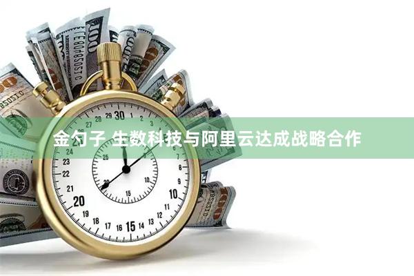 金勺子 生数科技与阿里云达成战略合作