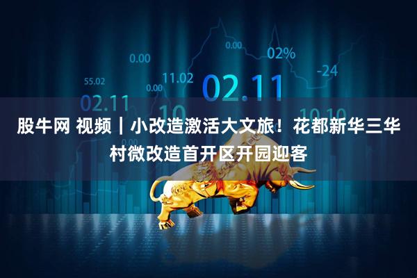 股牛网 视频｜小改造激活大文旅！花都新华三华村微改造首开区开园迎客